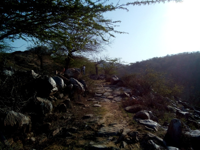 trekking-group-near-jaipur